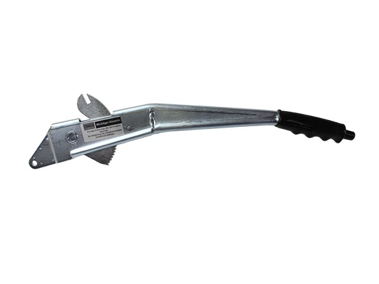 31 mm